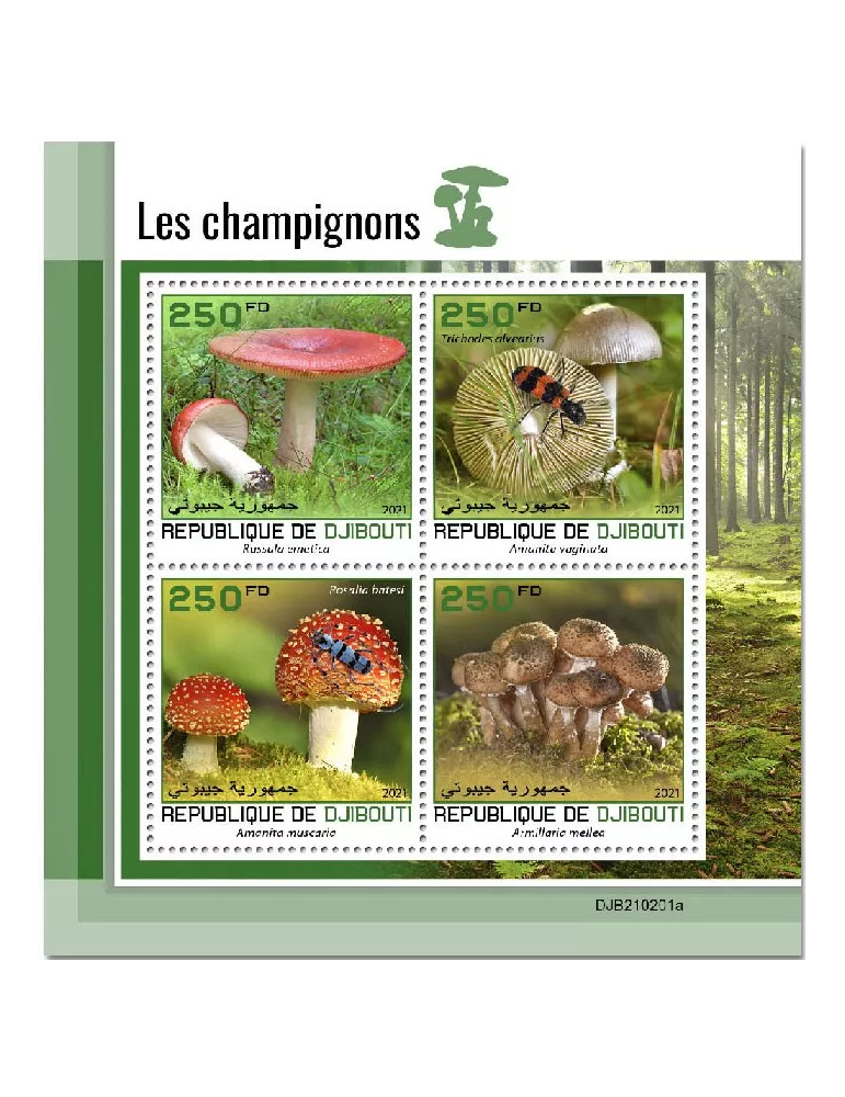 n° 3455/3458  - Timbre DJIBOUTI Poste