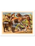 n° 7994/7995  - Timbre SAINT-THOMAS ET PRINCE Poste
