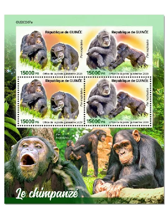 n° 10750/10751  - Timbre GUINEE Poste