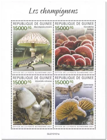 n° 10846/10849  - Timbre GUINEE Poste