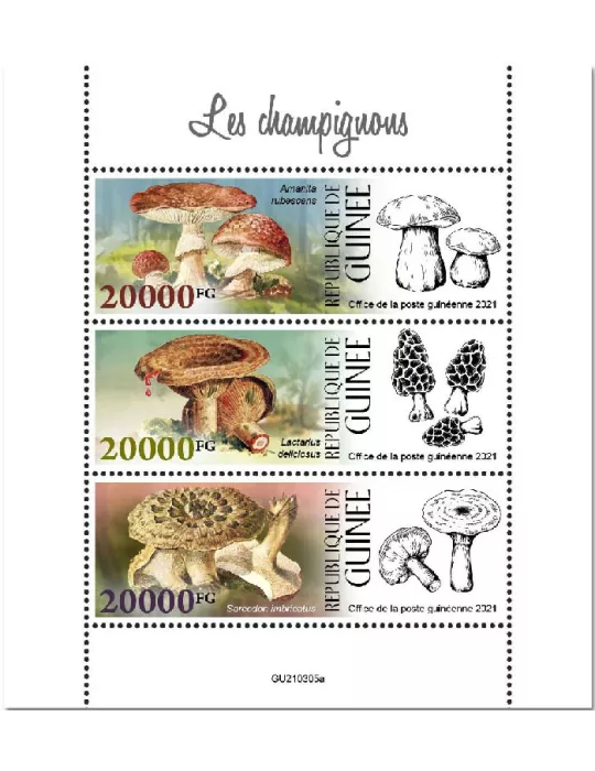 n° 11365/11367  - Timbre GUINEE Poste