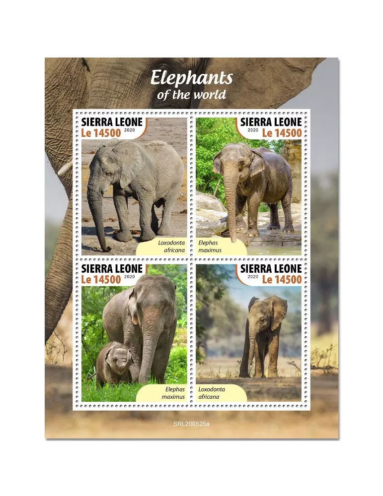 n° 10279/10282  - Timbre SIERRA LEONE Poste
