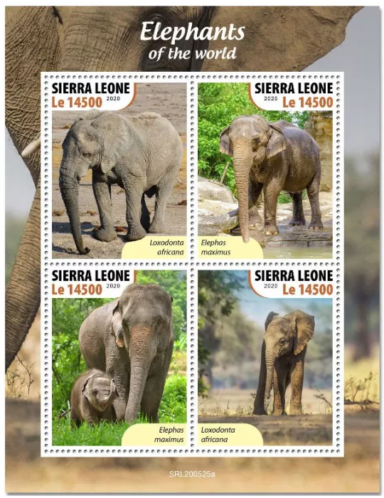n° 10279/10282  - Timbre SIERRA LEONE Poste