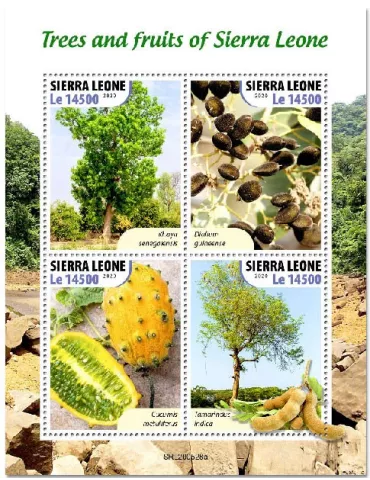 n° 10291/10294  - Timbre SIERRA LEONE Poste