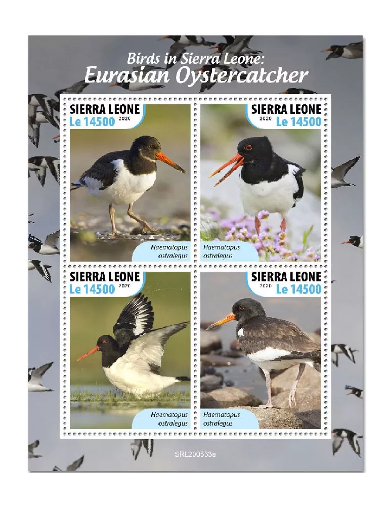 n° 10311/10314  - Timbre SIERRA LEONE Poste