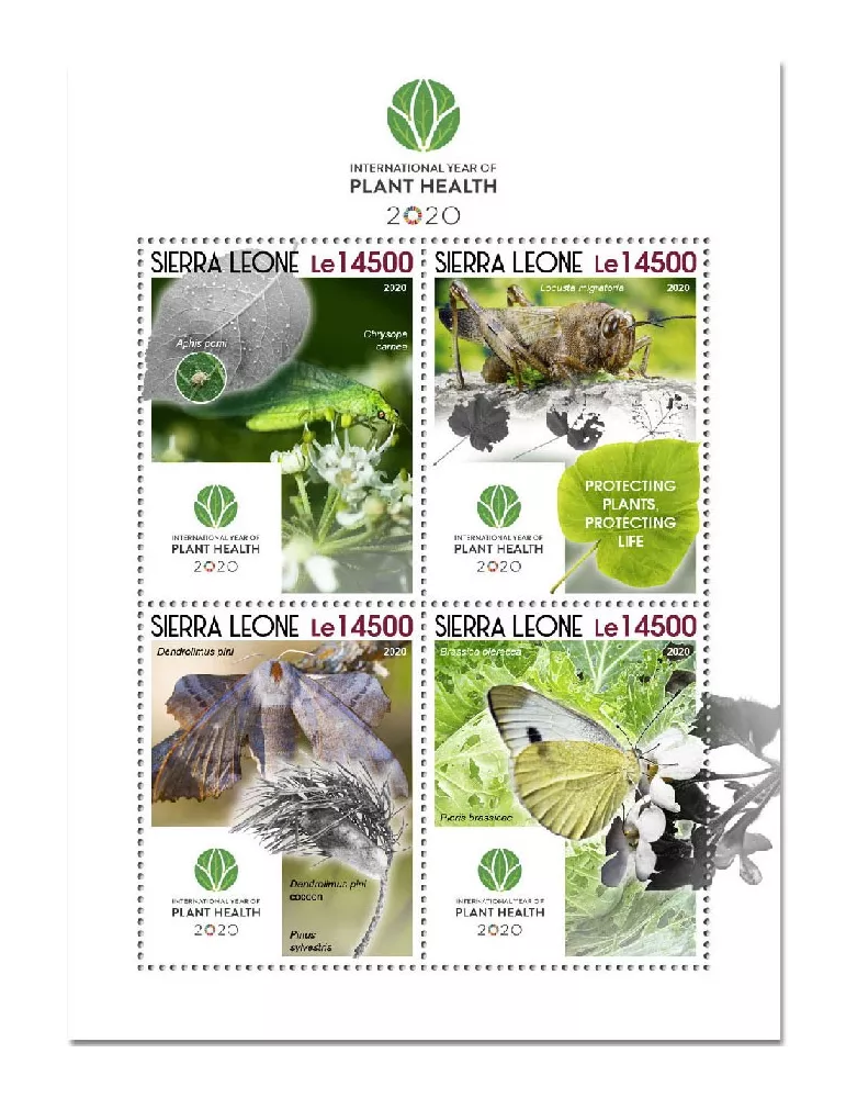 n° 10399/10402  - Timbre SIERRA LEONE Poste