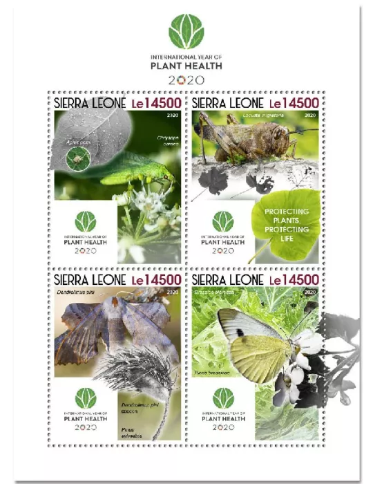 n° 10399/10402  - Timbre SIERRA LEONE Poste