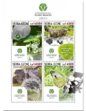 n° 10399/10402  - Timbre SIERRA LEONE Poste