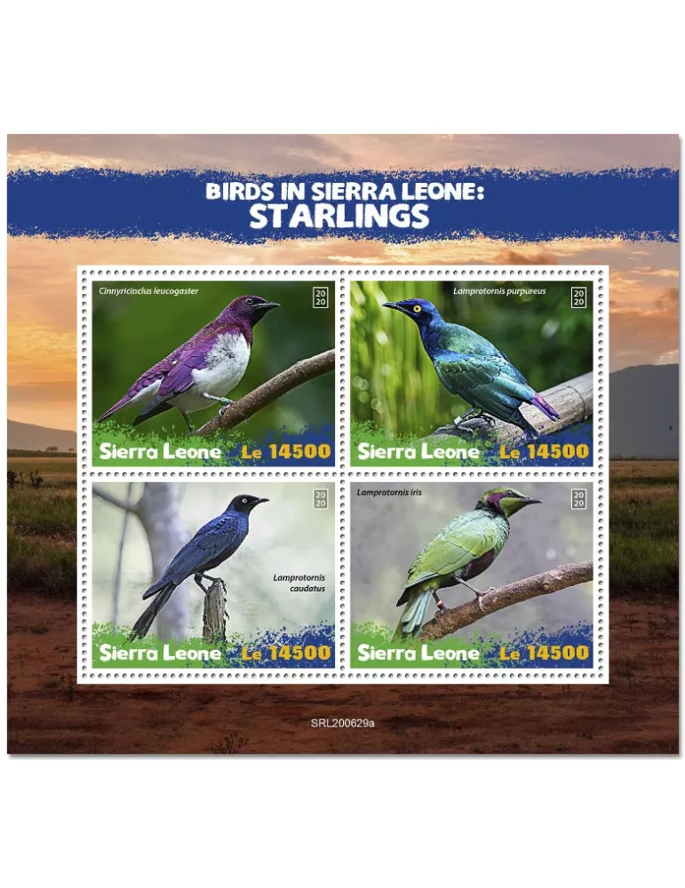 n° 10495/10498  - Timbre SIERRA LEONE Poste