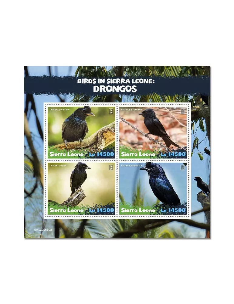 n° 10499/10502  - Timbre SIERRA LEONE Poste