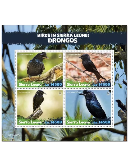 n° 10499/10502  - Timbre SIERRA LEONE Poste