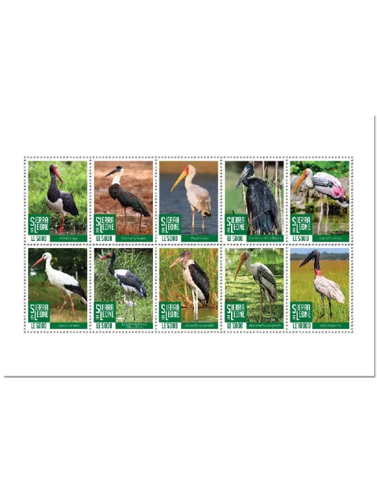 n° 9953/9962  - Timbre SIERRA LEONE Poste
