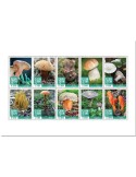 n° 9983/9992  - Timbre SIERRA LEONE Poste
