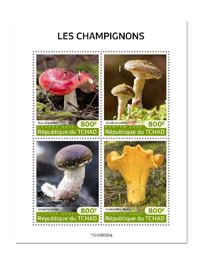 n° 2583/2586  - Timbre TCHAD Poste