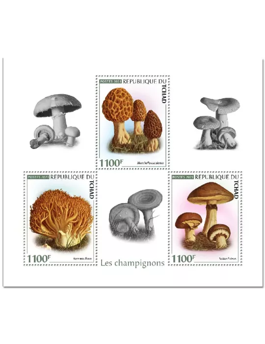 n° 3164/3166  - Timbre TCHAD Poste