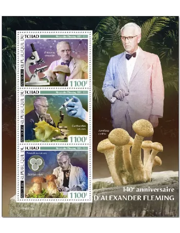 n° 3253/3255  - Timbre TCHAD Poste
