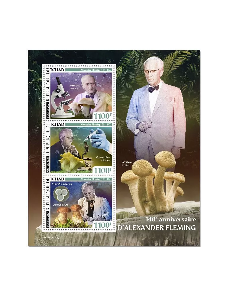 n° 3253/3255  - Timbre TCHAD Poste