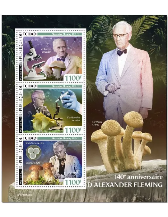 n° 3253/3255  - Timbre TCHAD Poste