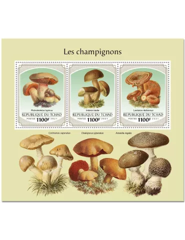 n° 3470/3472  - Timbre TCHAD Poste
