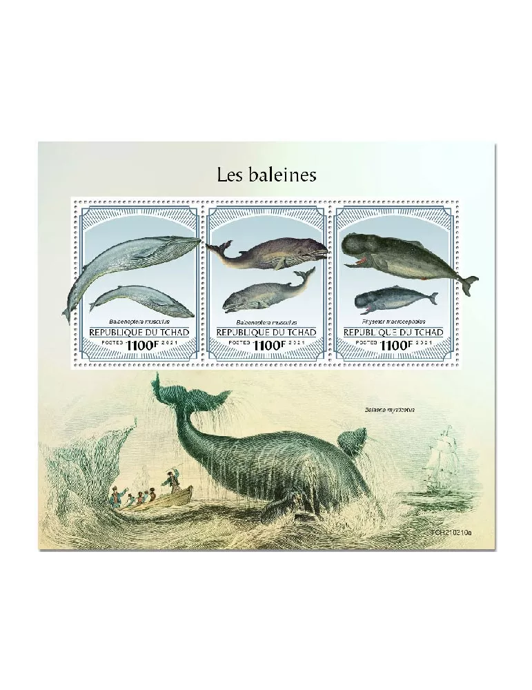 n° 3497/3499  - Timbre TCHAD Poste