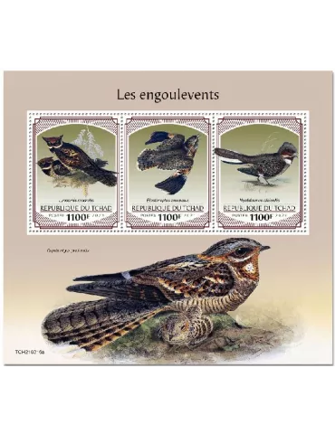n° 3515/3517  - Timbre TCHAD Poste