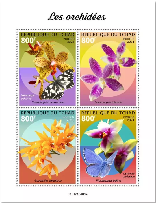 n° 3629/3632  - Timbre TCHAD Poste