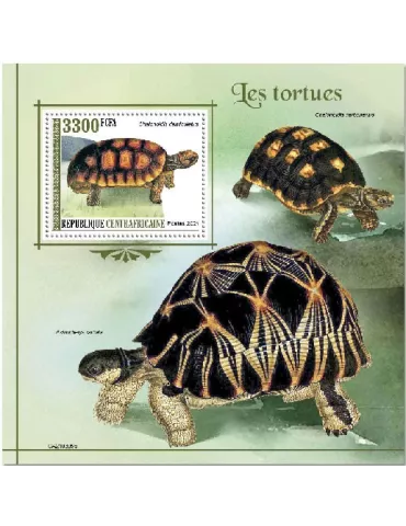 n° 1785  - Timbre CENTRAFRIQUE Blocs et feuillets