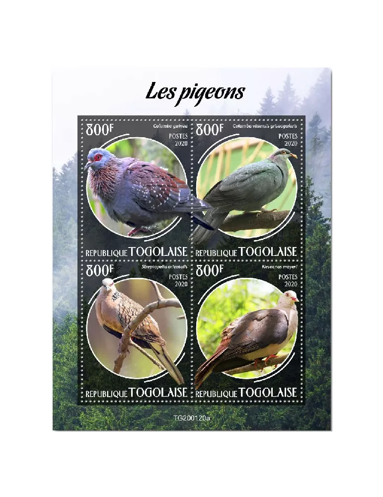 n° 7979/7982  - Timbre TOGO Poste