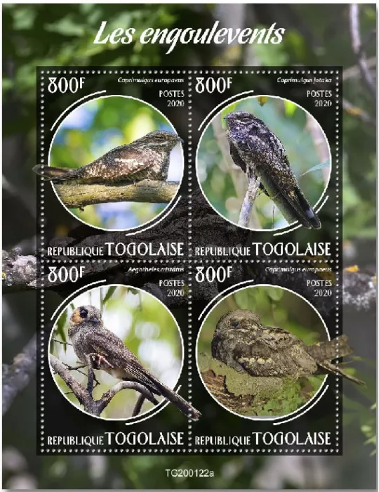 n° 7987/7990  - Timbre TOGO Poste