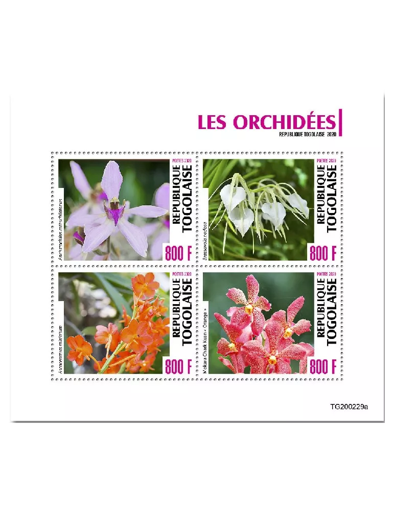 n° 8296/8299  - Timbre TOGO Poste