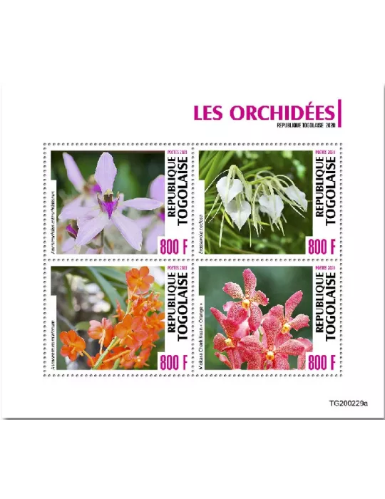 n° 8296/8299  - Timbre TOGO Poste
