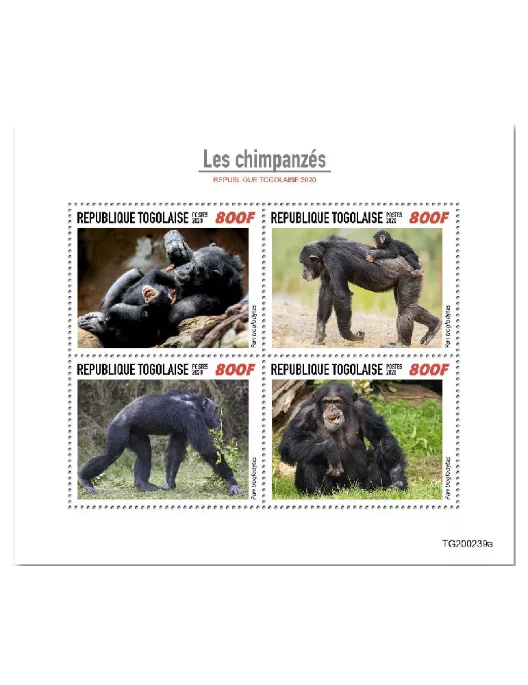 n° 8335/8338  - Timbre TOGO Poste