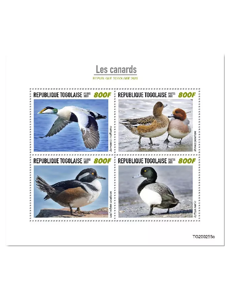n° 8399/8402  - Timbre TOGO Poste