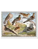 n° 8919/8924  - Timbre TOGO Poste