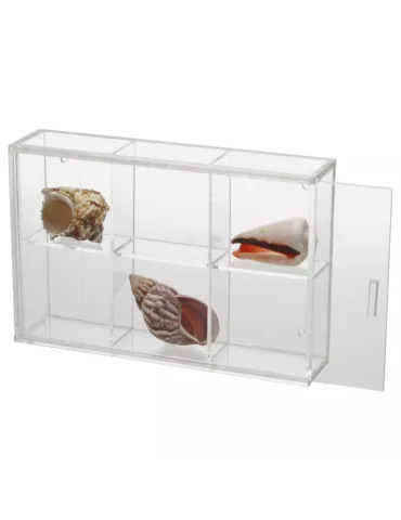 VITRINE EN PLEXI PETIT FORMAT  : 6 CASES - SAFE®