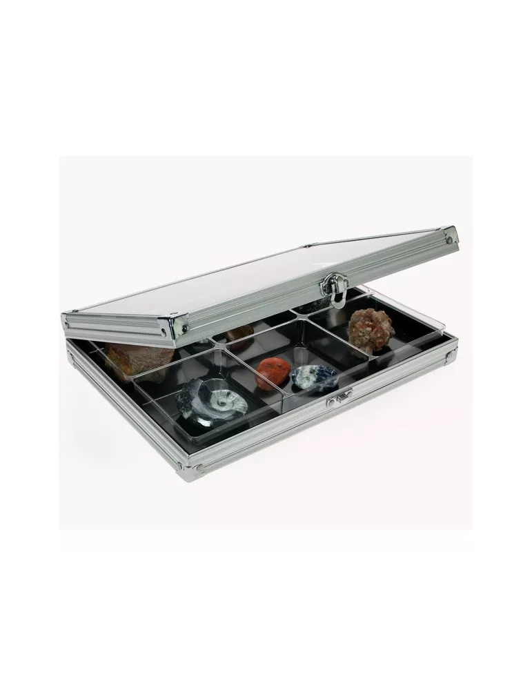 VITRINE ALU COMPACT : 6 CASES (87 x 90 mm) - SAFE®