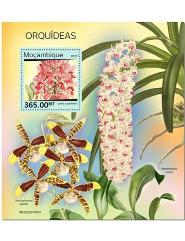 n° 1690 - Timbre MOZAMBIQUE Blocs et feuillets
