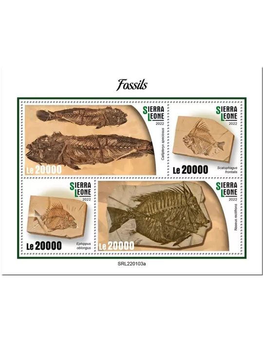 n° 10605/10608 - Timbre SIERRA LEONE Poste