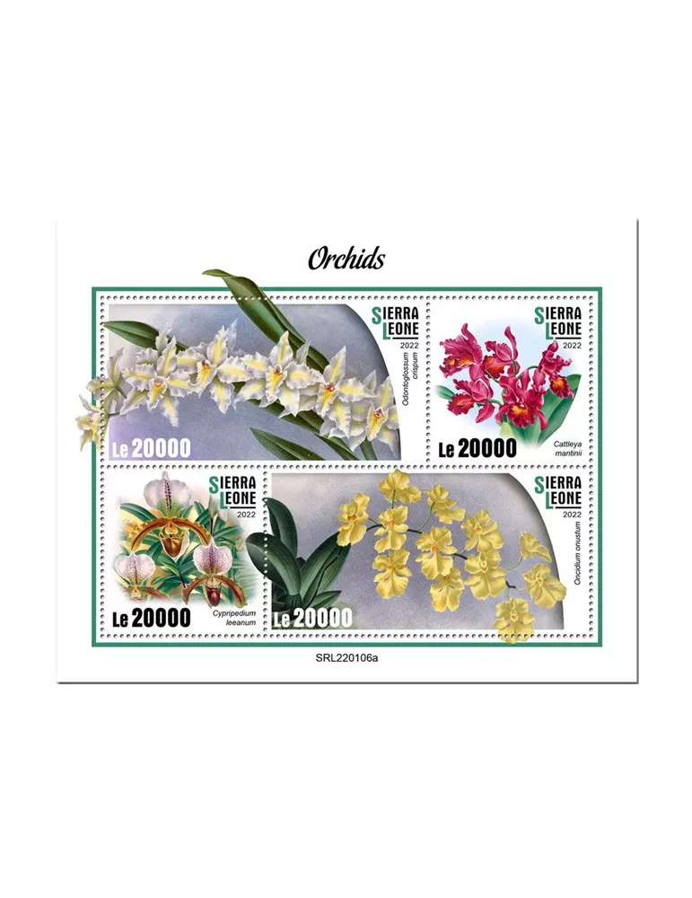 n° 10617/10620 - Timbre SIERRA LEONE Poste