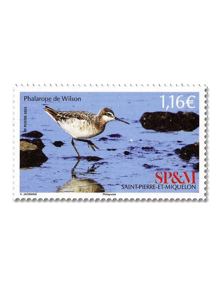 n° 1301 - Timbre Saint-Pierre et Miquelon Poste