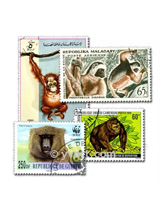 SINGES : pochette de 50 timbres (Oblitérés)