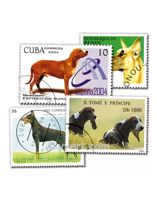 CHIENS : pochette de 50 timbres (Oblitérés)