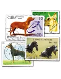 CHIENS : pochette de 500 timbres (Oblitérés)