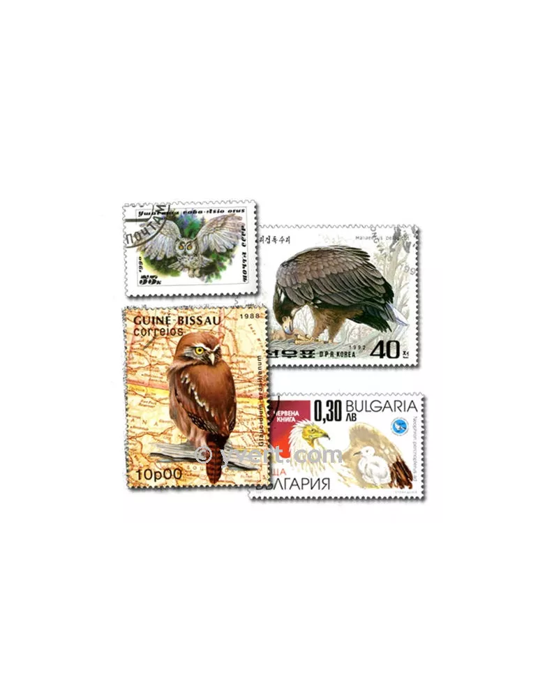 RAPACES : pochette de 50 timbres (Oblitérés)
