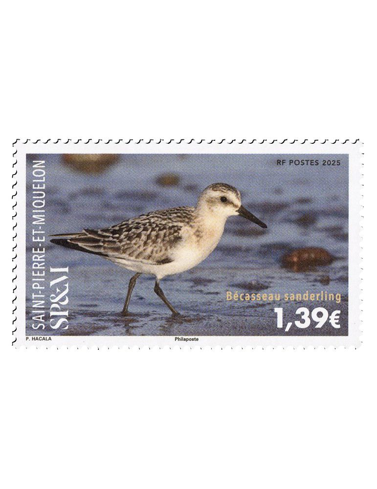 n° 1351 - Timbre Saint-Pierre et Miquelon Poste