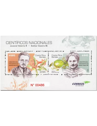 n° 94 - Timbre COSTA RICA Blocs et feuillets