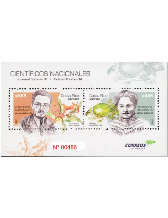 n° 94 - Timbre COSTA RICA Blocs et feuillets