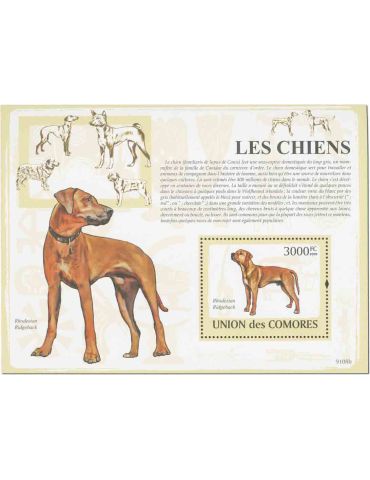 COMORES : Thématique (Les chiens)