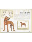 COMORES : Thématique (Les chiens)