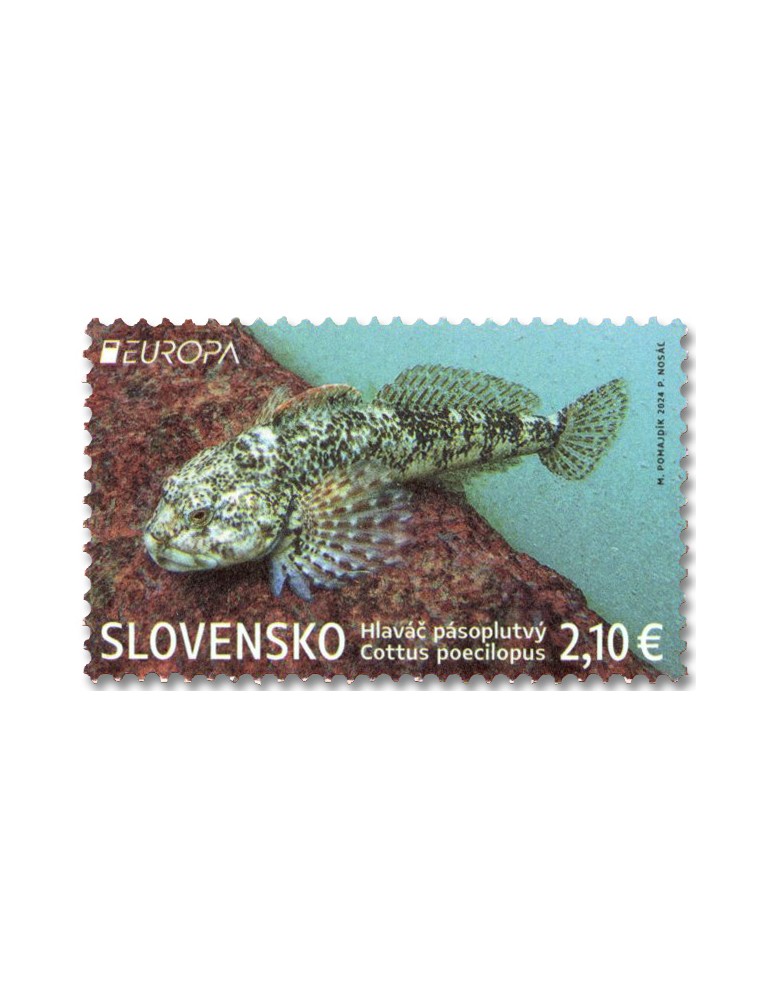 n° 903 - Timbre SLOVAQUIE Poste